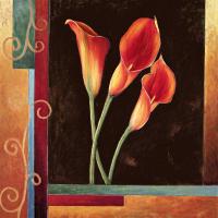 Orange Callas #ILD4272 Orange Callas #ILD4272