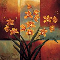 Orange Orchid #ILD4462 Orange Orchid #ILD4462
