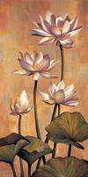 White Lotus #ILD5097 White Lotus #ILD5097