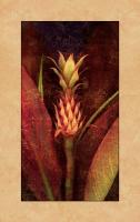 Pineapple #IS4062 Pineapple #IS4062