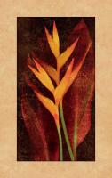 Heliconia #IS4063 Heliconia #IS4063
