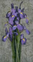Purple Iris #IS4064 Purple Iris #IS4064
