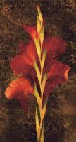 Gladiola #IS4142 Gladiola #IS4142