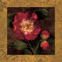Red Camellias I #IS4146 Red Camellias I #IS4146