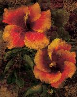 Hibiscus I #IS4164 Hibiscus I #IS4164