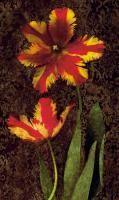 Decorative Tulips II #IS4495 Decorative Tulips II #IS4495