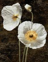 Poppies I #IS4614 Poppies I #IS4614