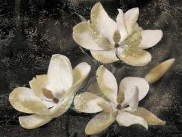 The Magnolia Tree #IS4618 The Magnolia Tree #IS4618