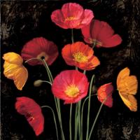 Poppy Bouquet I #IS4621 Poppy Bouquet I #IS4621