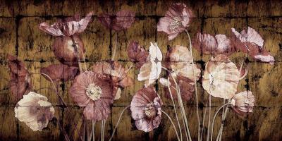Poppies on Gold #IS5190 Poppies on Gold #IS5190