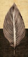 Palm Leaf I #IS5195 Palm Leaf I #IS5195