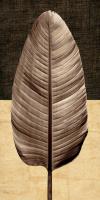 Palm Leaf II #IS5196 Palm Leaf II #IS5196