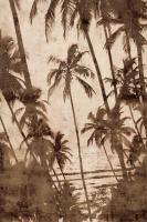 Trade Winds I #IS5377 Trade Winds I #IS5377