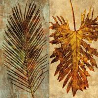 Palms Pairs II #IS6062 Palms Pairs II #IS6062