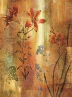 Tulip Garden I #IS6206 Tulip Garden I #IS6206