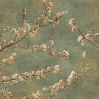Morning Blossom II #IS6488 Morning Blossom II #IS6488