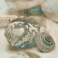 Coastal Gems I #IS6830 Coastal Gems I #IS6830