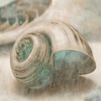 Coastal Gems II #IS6831 Coastal Gems II #IS6831