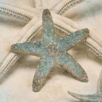 Coastal Gems III #IS6832 Coastal Gems III #IS6832