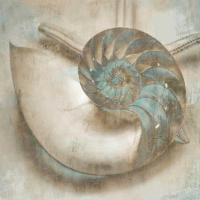 Coastal Gems IV #IS6833 Coastal Gems IV #IS6833