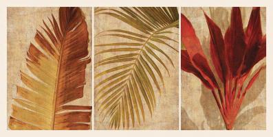 Palm Vista I #IS6877 Palm Vista I #IS6877