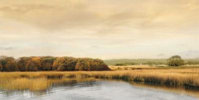 Ripples On the Water #IS7424 Ripples On the Water #IS7424