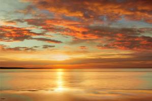 Sunlit #IS7425 Sunlit #IS7425