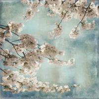 Aqua Blossoms II #IS7428 Aqua Blossoms II #IS7428
