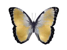 Butterfly in Metallic I #JBC113332 Butterfly in Metallic I #JBC113332