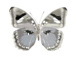 Butterfly in Grey II #JBC113336 Butterfly in Grey II #JBC113336