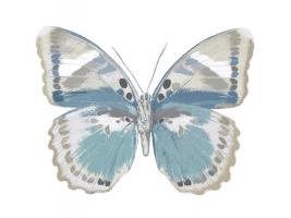Butterfly in Green and Indigo #JBC113340 Butterfly in Green and Indigo #JBC113340