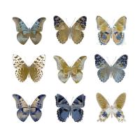 Butterfly Study I #JBC113351 Butterfly Study I #JBC113351