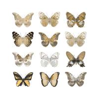 Butterfly Study in Gold III #JBC113353 Butterfly Study in Gold III #JBC113353