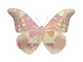 Butterfly in Teal I #JBC113361 Butterfly in Teal I #JBC113361