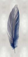 Blue Feather on Silver II #JBC114215 Blue Feather on Silver II #JBC114215