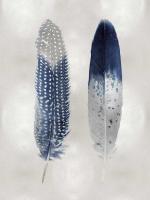 Blue Feather Pair on Silver #JBC114216 Blue Feather Pair on Silver #JBC114216