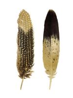 Gold Feather Pair #JBC114221 Gold Feather Pair #JBC114221