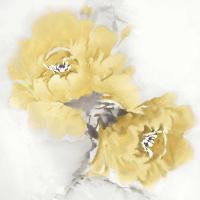 Flower Bloom in Yellow II #JES113441 Flower Bloom in Yellow II #JES113441