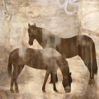 Equine I #JM6869