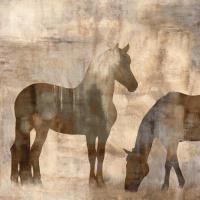 Equine II #JM6870 Equine II #JM6870