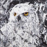 Owl III #JMF114746 Owl III #JMF114746