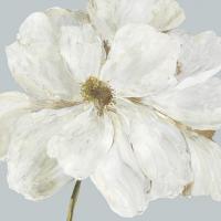 Garden Queen I #JN447-A Garden Queen I #JN447-A