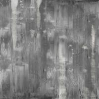 Variations in Grey #JTU114566 Variations in Grey #JTU114566