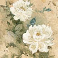 White Flowers I #JWL6363 White Flowers I #JWL6363