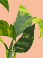 Untitled #98111 Untitled #98111