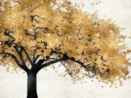 Golden Blossoms #KTB111457 Golden Blossoms #KTB111457