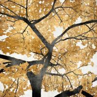 Golden Leaves #KTB111459 Golden Leaves #KTB111459