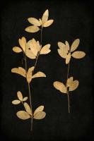 Golden Nature IV #KTB111631 Golden Nature IV #KTB111631