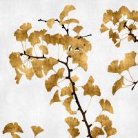 Ginko in Gold I #KTB112068 Ginko in Gold I #KTB112068