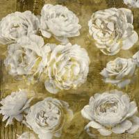 White in Gold #KTB112071 White in Gold #KTB112071